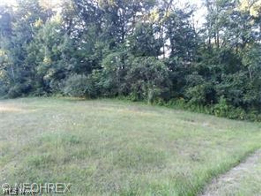 Buildable lot in the City of Green. Wooded lot with possible walk out lower level. Over 1/2 acre with sewer and water in Green for only $39,900! Don't miss this opportunity to build your dream home in Mystic Point. Builder plans available or bring your own.