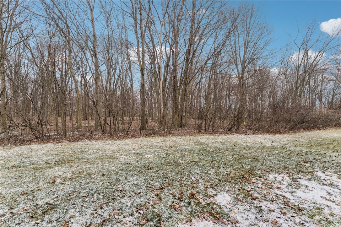 Colonies/Martins Run 01 - Residential