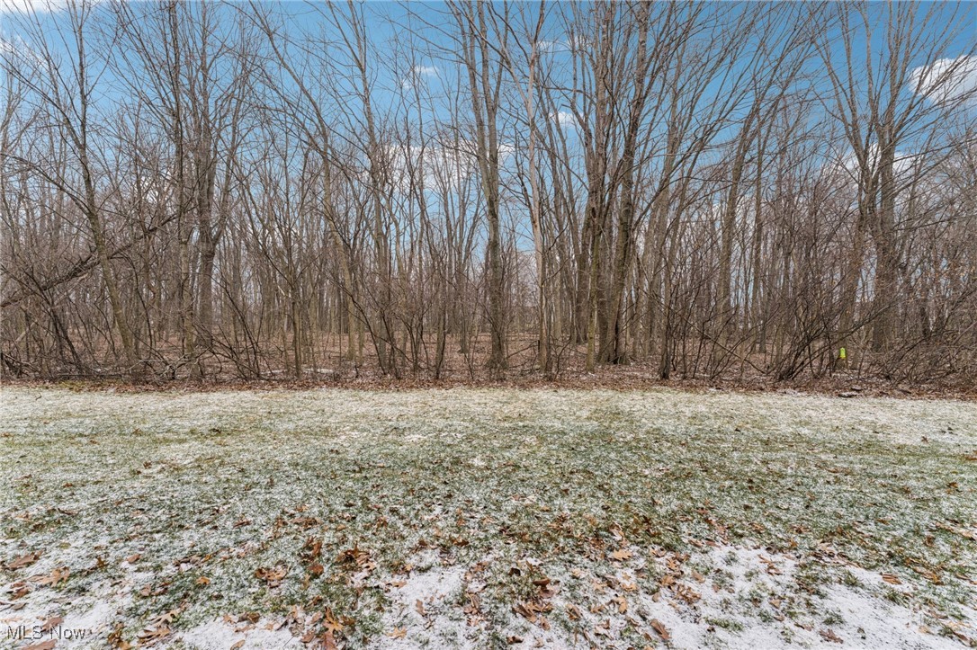 Colonies/Martins Run 01 - Residential