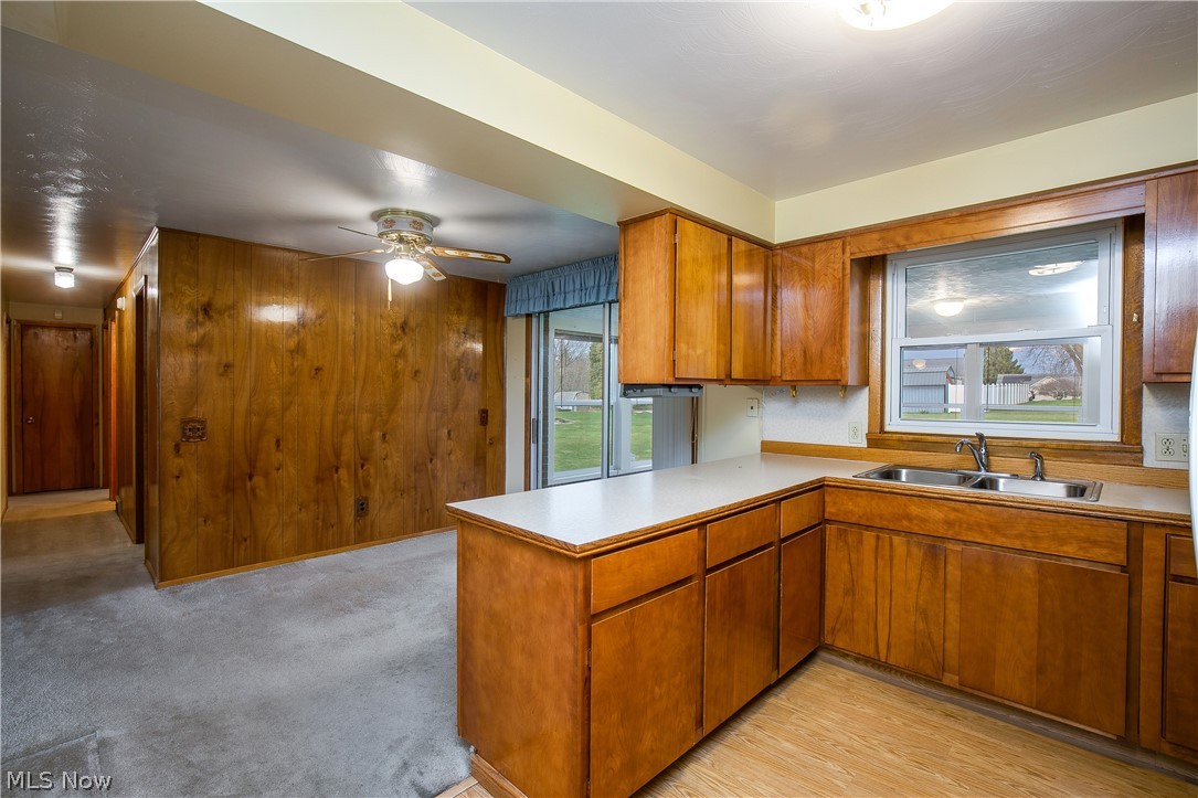 Watkins Allotment - Residential