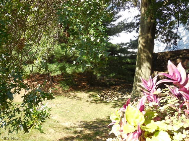 Normandy Village At Cross Creek Condo - Residential