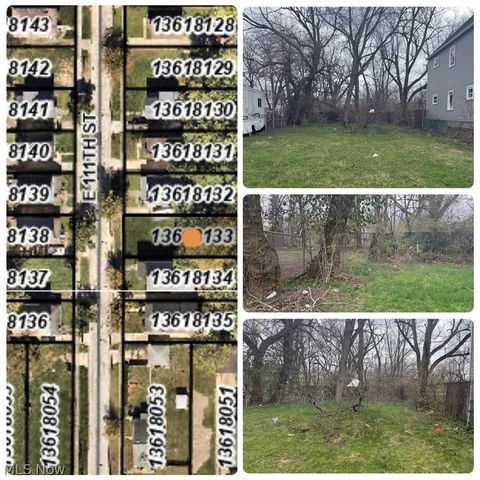 4155 E 111th Street Cleveland OH 44105