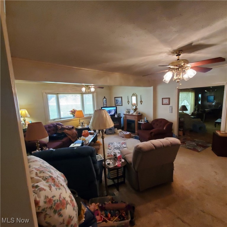 2398 Seneca Trail Trl, Montrose, West Virginia image 15