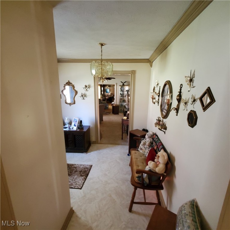 2398 Seneca Trail Trl, Montrose, West Virginia image 12