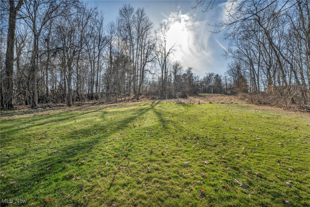 1070 Waldo Way, Twinsburg, Ohio image 42