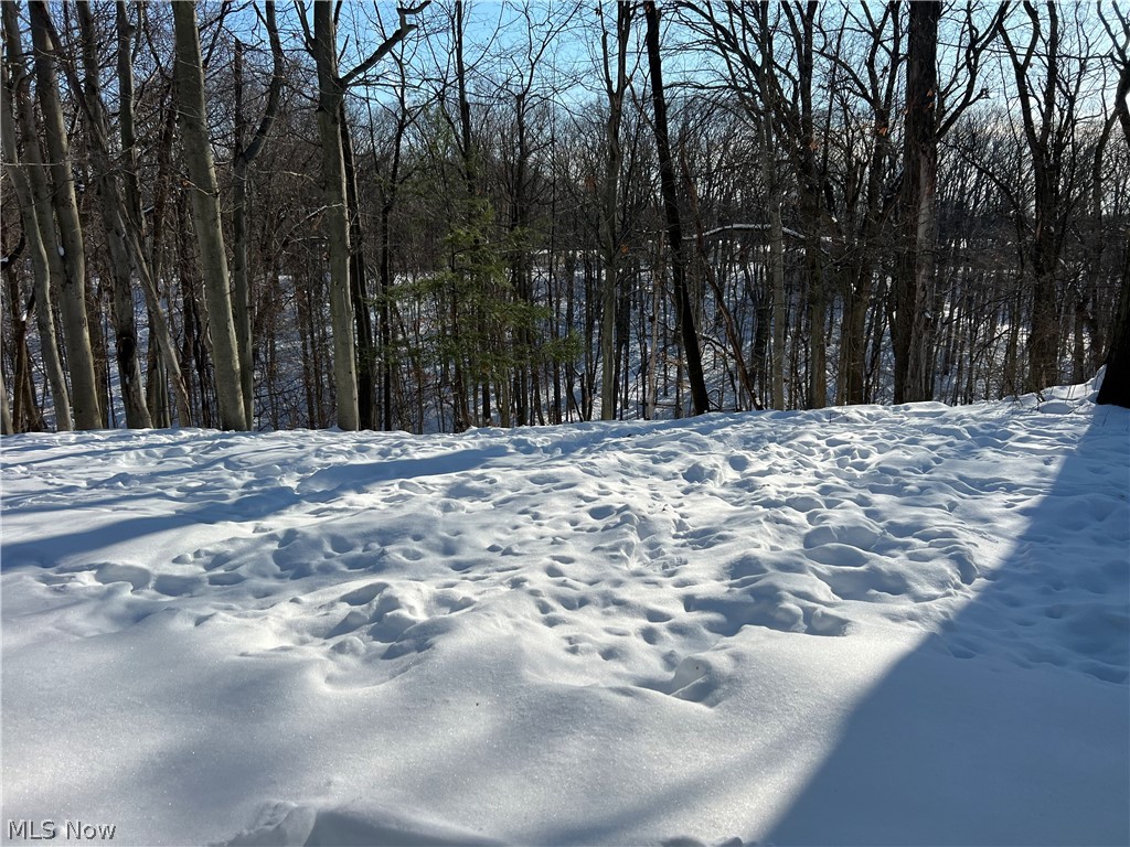 Society Hill - Residential