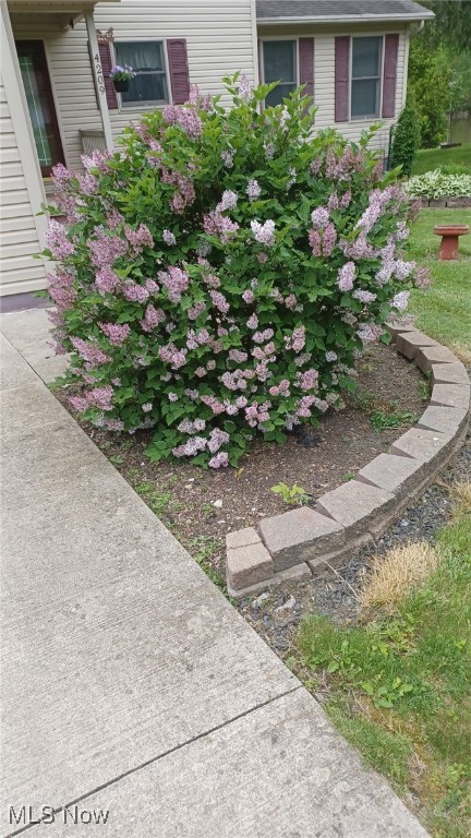 4209 Majorna Drive, West Salem, Ohio image 2