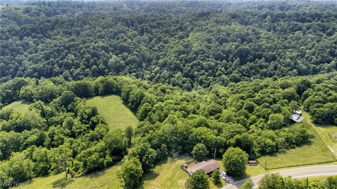 50965 State Route 556, Clarington, Ohio image 33