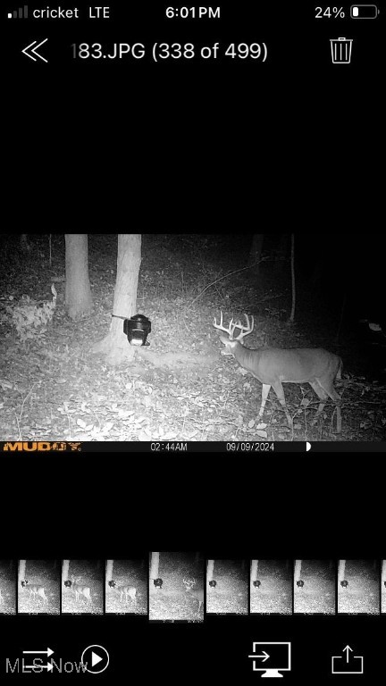50965 State Route 556, Clarington, Ohio image 36