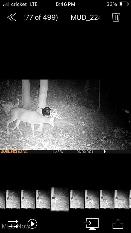 50965 State Route 556, Clarington, Ohio image 35