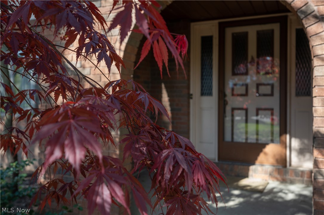 Lakeshore Hills - Residential