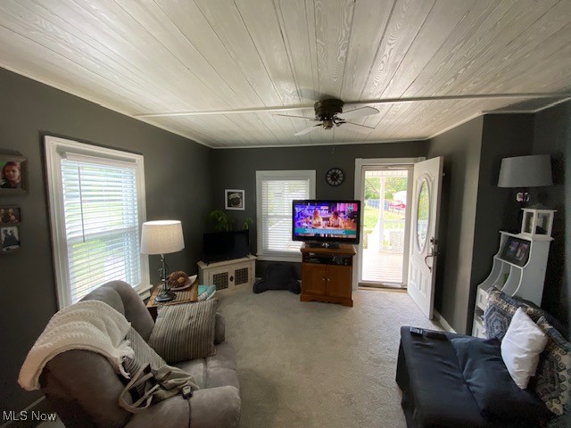 Meadowbrook Little Farms - Residential