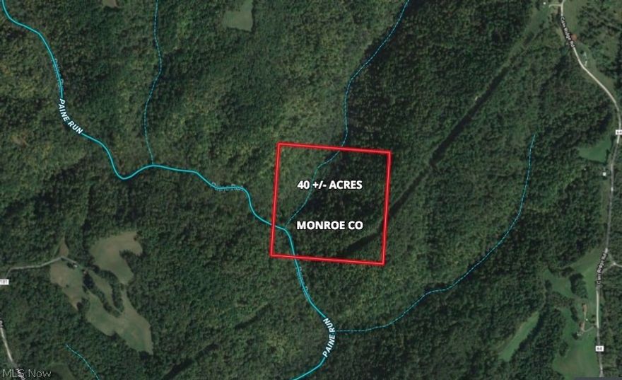 ABSOLUTE AUCTION ON 08/09/2018 @ 6:00 PM. If you are looking for a secluded tract of forest land tucked away from fast paced America with a paved road leading into it ….. This is NOT your property! If however you still have a sense of adventure stirring somewhere then you owe it to yourself to see if you have what it takes to locate and walk this property!  Rugged seclusion and privacy at its finest along with mature woods and marketable timber make this tract of vacant land desirable. Paine Run Creek meanders through the SW portion of the property.  Feel free to walk the property at your convenience and risk prior to auction ending. Brock Ridge Rd. maintenance ends at least ¾ mile prior to reaching the property, continue to follow the roadway and you will arrive at the cabin pictured online.  The property will sell to the highest bidder regardless of price!  Online Auction bidding close date is Thursday, August 9 at 6:00 PM with extended bidding.? Auction is scheduled to begin closing