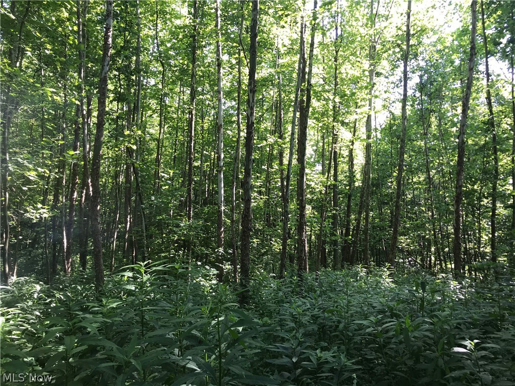 Old 7 Ranges - Land