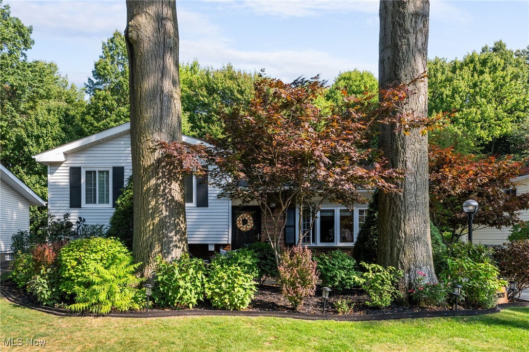 Beautifully updated home on quiet street in North Olmsted, every inch has been thoughtfully updated. Modern living room is open to dining room and features gorgeous wood floors and custom iron railings. Kitchen was remodeled in 2023 with Shaker cabinets, stainless steel appliances and quartz countertops. Stylish 3 season room overlooks the lush backyard. 3 nicely sized bedrooms and a full bathroom are on the second floor. The lower level has another living room, stunning full bathroom and laundry/storage room. Park-like back yard with built in gas grill, perfect for entertaining, detached 2 car garage. All lighting has been replaced, neutral paint colors, open floor plan, roof 11 years old, HVAC 2024, hot water tank 7 years old. Move right in and enjoy!