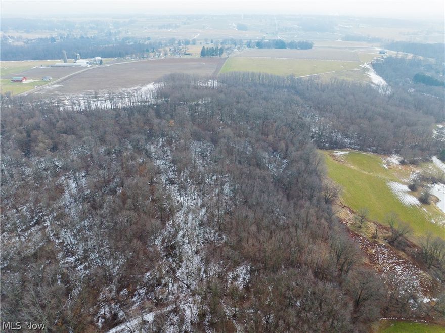 Onsite Live Auction Saturday, March 28th at 11:00 AM. 11.1 acres of land with 30’ of frontage on Doylestown Rd, Secluded, wooded and ready for whatever you want to do, buy this one with parcel 4 and have over 20 acres of prime hunting.