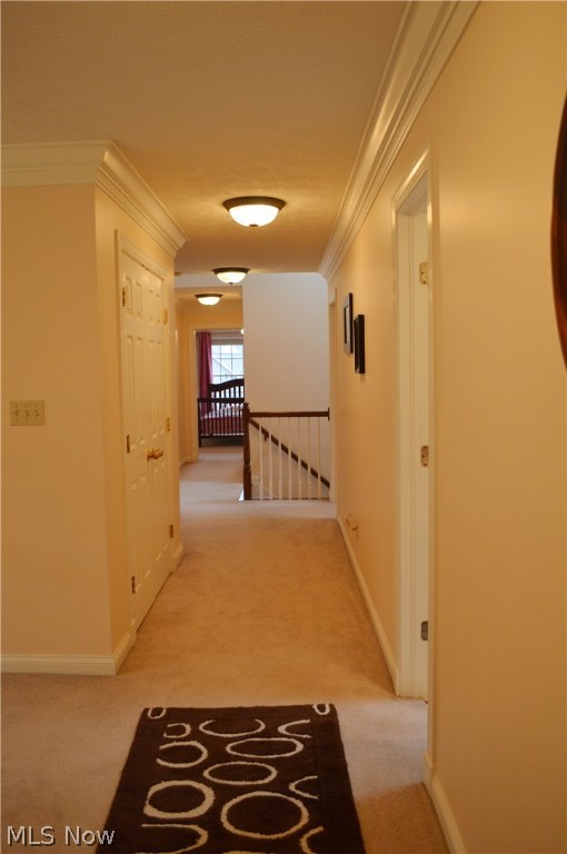 Hudson Park Estate #6 - Residential