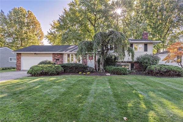 5114 DOGWOOD TRL, CLEVELAND, OH 44124 - Image 3bfbfee51d0bb49fc02b3e93b7bdb6fc/1229291691