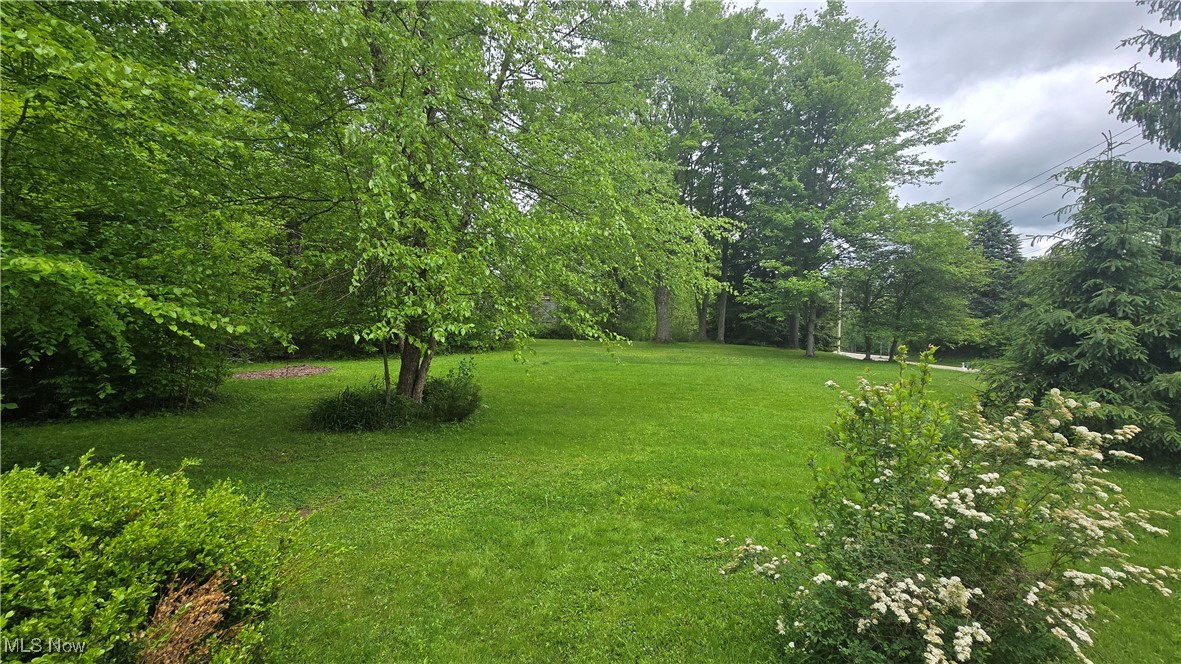 13232 Sperry Road, Chesterland, Ohio image 20