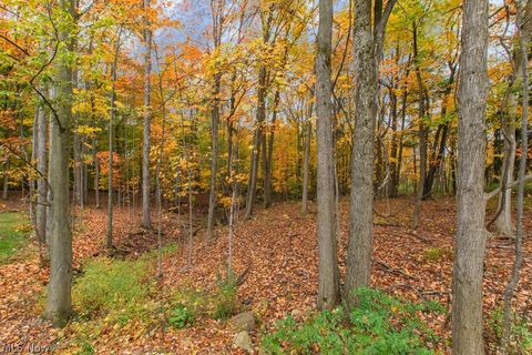 Tiny photo for 2770 Weeping Pine Drive, Medina, OH 44256 (MLS # 5202933)