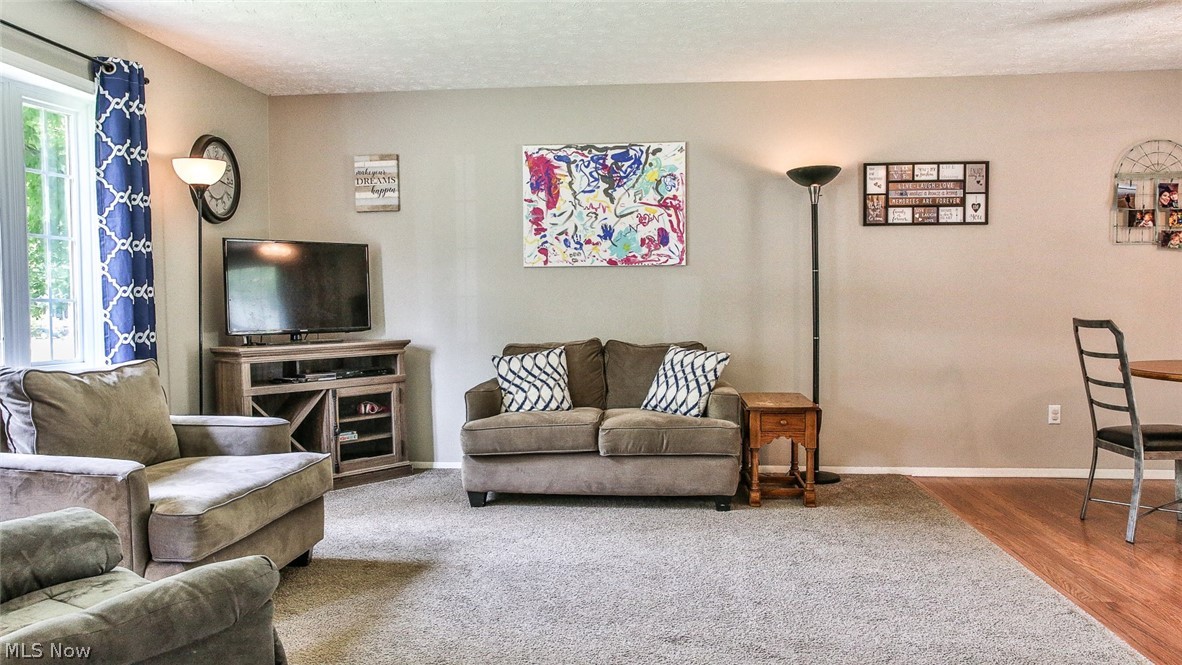 Brimfield - Residential