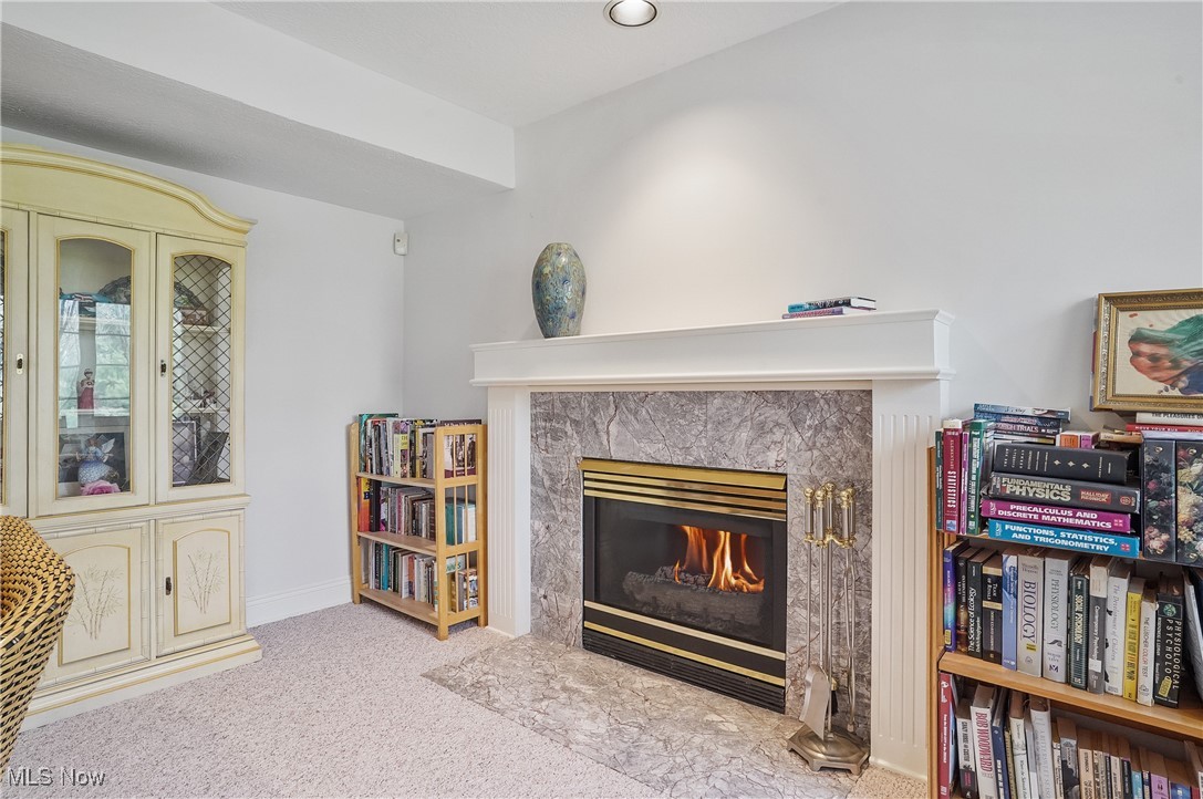4853 Arbour Green Drive, Akron, Ohio image 32