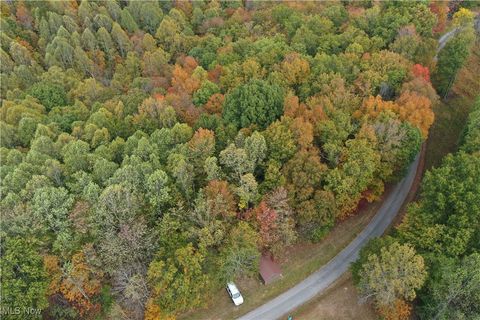 Vacant Land For Sale - 731 Riffle Run Road<br/> Calhoun County, Grantsville, WV 26147