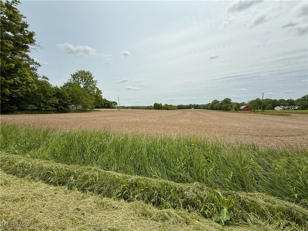 Snode Street, Alliance, Ohio image 6