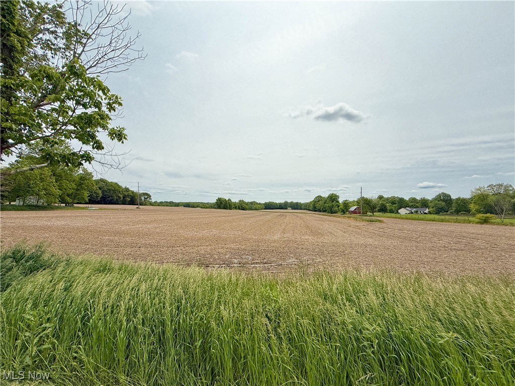Snode Street, Alliance, Ohio image 7