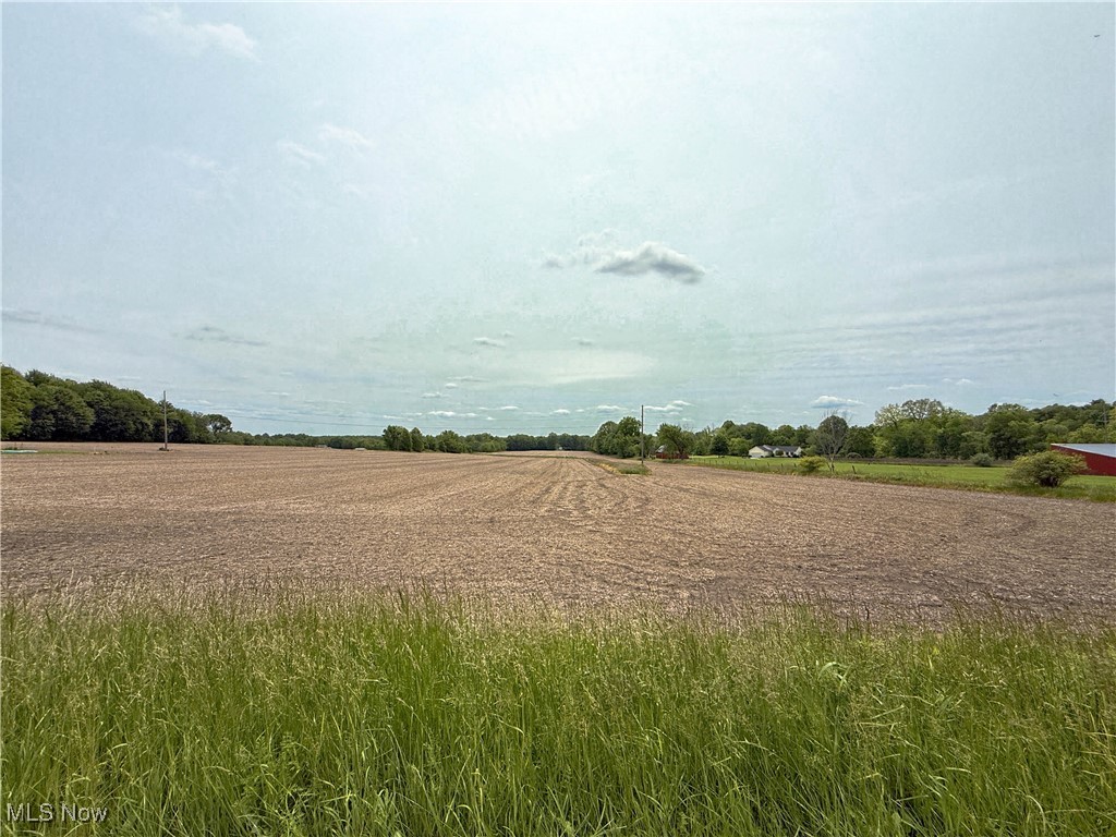 Snode Street, Alliance, Ohio image 9