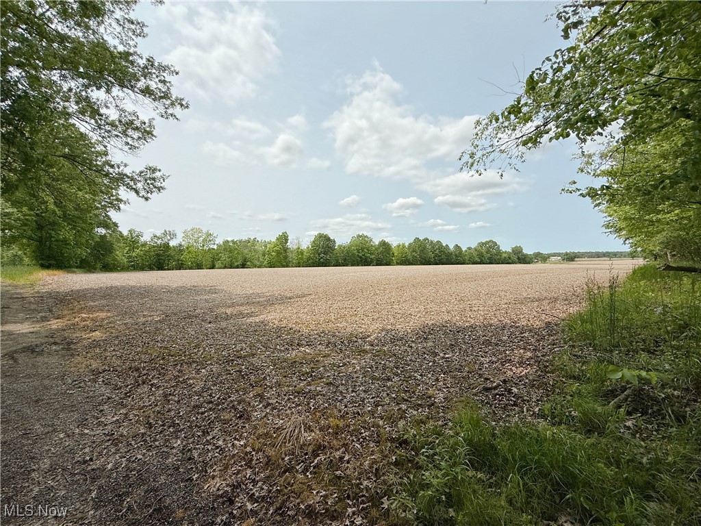 Snode Street, Alliance, Ohio image 10