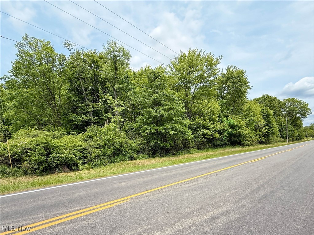 Snode Street, Alliance, Ohio image 11