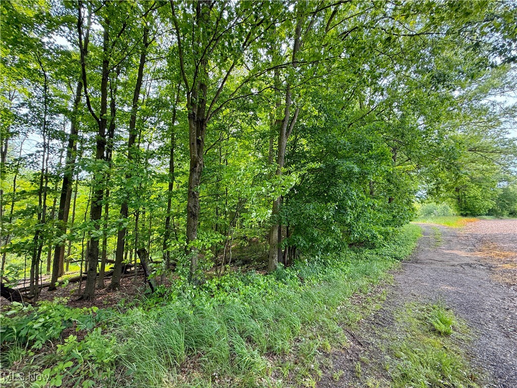 Snode Street, Alliance, Ohio image 12