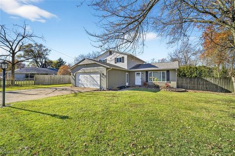 646 Dunny Avenue Sheffield Lake OH 44054