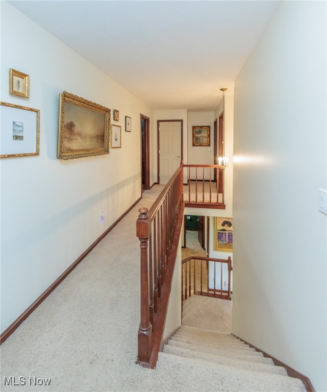 3286 Marks Road, Medina, Ohio image 22