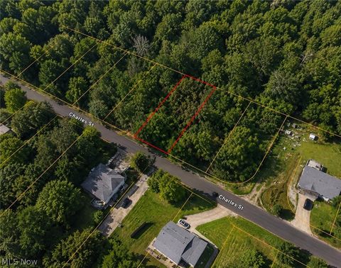 Vacant Land For Sale - Charles Street<br/> Richland County, Mansfield, OH 44903