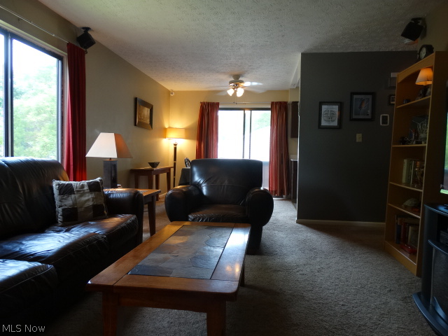 Orchard Park - Residential