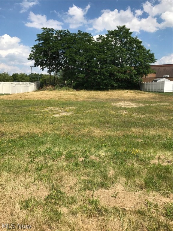 Mulberry Run 3 - Land