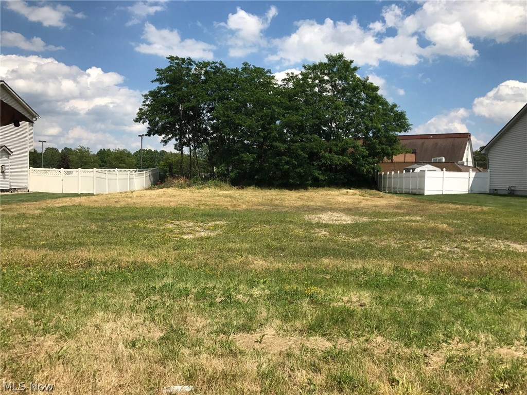 Mulberry Run 3 - Land