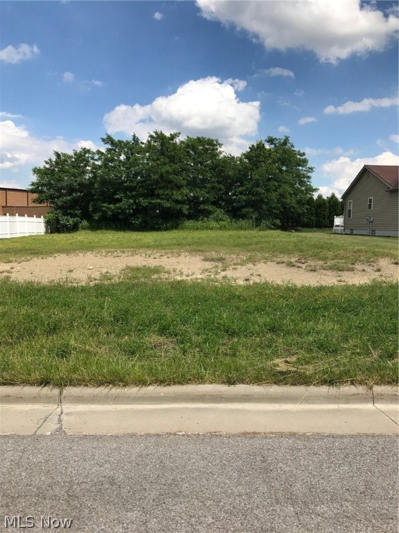 Mulberry Run 3 - Land