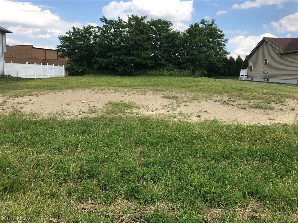 Mulberry Run 3 - Land