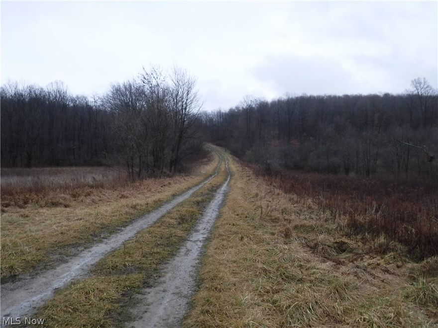 383 vacant acres with mineral rights. road frontage on 3 sides. Oil well, pipe lines and HBP.