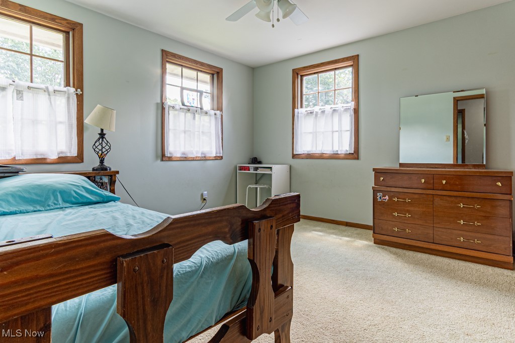 Santee & Capels 1st Add - Residential