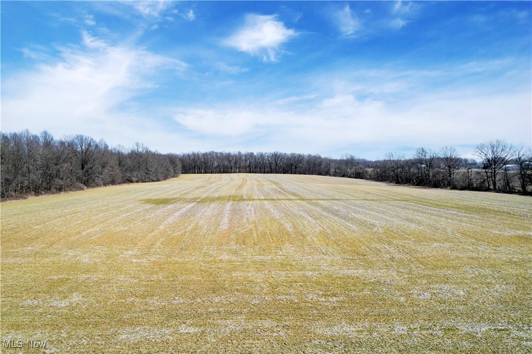 10725 Lattasburg Road, West Salem, Ohio image 40