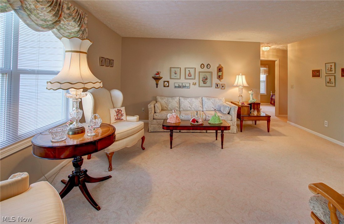 Pebble Crk Preserve Clstr Hm S - Residential