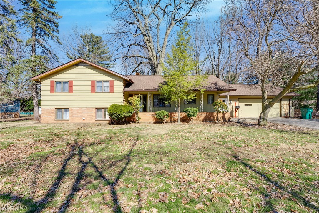 8071 Mentor Avenue, Mentor, Ohio image 1