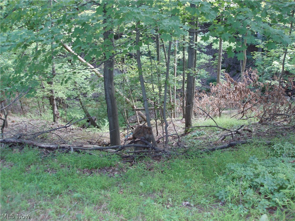 Brecksville - Residential