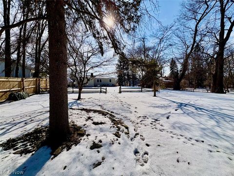 Tiny photo for 8331 Nowlen Street, Mentor, OH 44060 (MLS # 5187377)