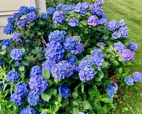 Tiny photo for 8331 Nowlen Street, Mentor, OH 44060 (MLS # 5187377)