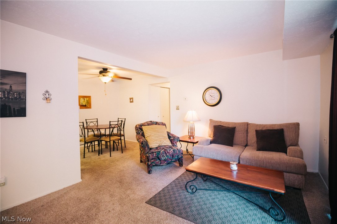 Misty Lake - Residential